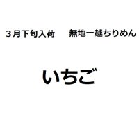 3月下旬入荷　ちりめん生地　いちご