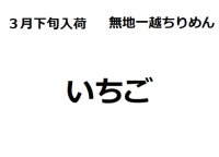 3月下旬入荷　ちりめん生地　いちご