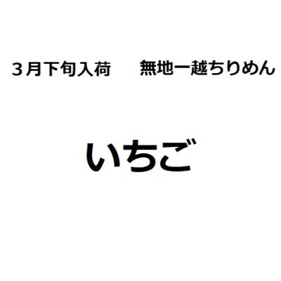 画像1: 3月下旬入荷　ちりめん生地　いちご