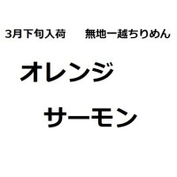 3月下旬入荷　ちりめん生地　オレンジサーモン※色味の説明あり