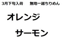 3月下旬入荷　ちりめん生地　オレンジサーモン※色味の説明あり