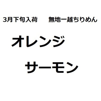 画像1: 3月下旬入荷　ちりめん生地　オレンジサーモン※色味の説明あり