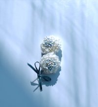 (2)「六匁羽二重　スカビオサのコサージュ」オンライン講座用