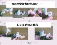 レジュメ販売「2025zoom作品　六連星(むつらぼし)スカビオサ」
