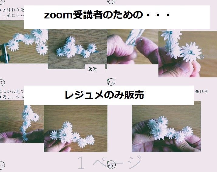 レジュメ販売「2025zoom作品　六連星(むつらぼし)スカビオサ」