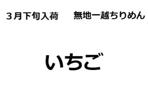 画像1: 3月下旬入荷　ちりめん生地　いちご (1)